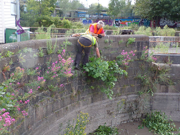 John Gardening